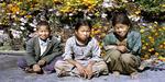 Nepál 2003
